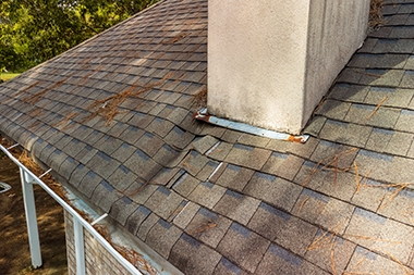 Expert Tacoma roof leak repair in WA near 98402